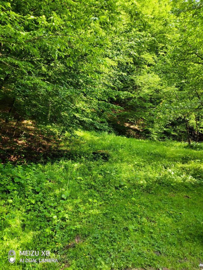 Золота Поляна Polyana (Transcarpathia) Exterior foto